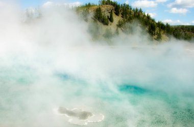 Yellowstone Ulusal Parkı 'nda Dumanlı Gayzer