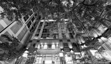 New York bina ve ağaçlar, gece yansımaları Windows.