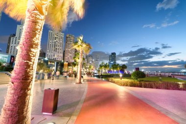 Dubai, Birleşik Arap Emirlikleri - 9 Aralık 2016: Dubai Marina manzarası mesire görüldüğü gibi geceleri. Şehir her yıl 30 milyon turist çeken.