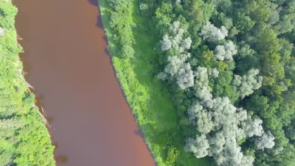 高亚河河在维德泽姆 拉脱维亚 高亚河国家公园 — 图库视频影像
