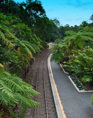 kuranda-cairns trenin Avustralya görüntülemek