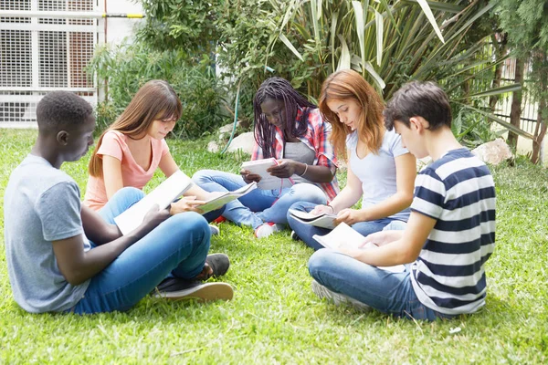 Multi Amigos Adolescentes Étnicos Fazendo Testes Escolares Livre Sentados Parque — Fotografia de Stock