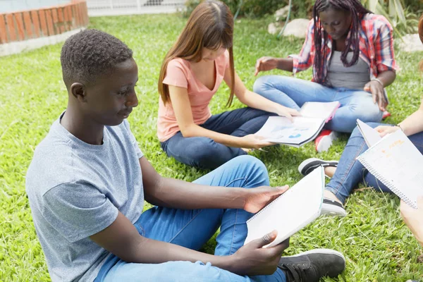 多民族青少年朋友在户外做学校测试 坐在公园 — 图库照片