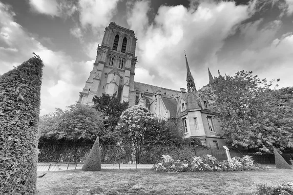 Notre Dame Paris Einem Sonnigen Tag — Stockfoto