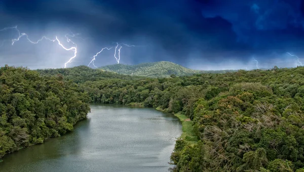 Selva Tropical Cerca Kuranda Village Queensland Australia — Foto de Stock