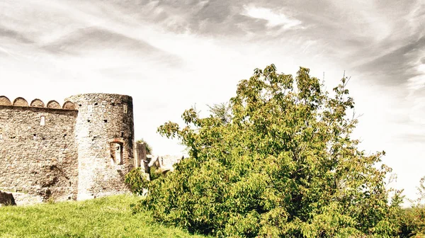 Bratislava Devin Castle Ruins Vegetation Summer Colors Europe — Stock Photo, Image