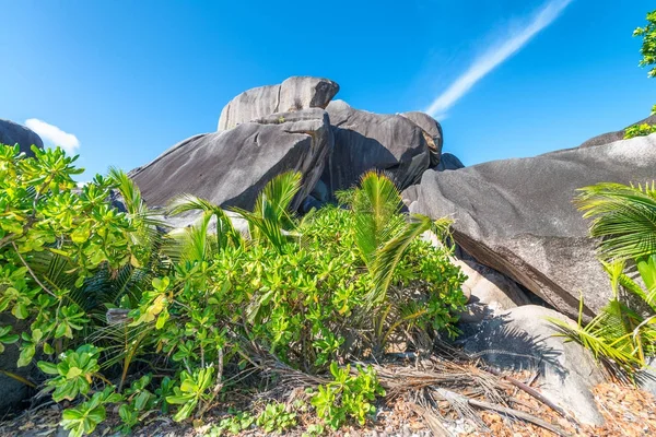Seyşel Adaları Tropik Doğa Şaşırtıcı Kayalar — Stok fotoğraf