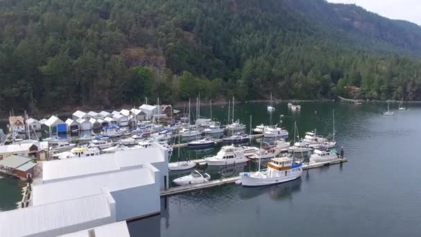 Vista Aérea Los Barcos Atracados Puerto Video — Vídeo de stock