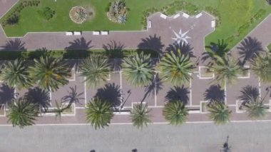 Şehir hava havai görünümü mesire yeşil palmiye ağaçları ile video