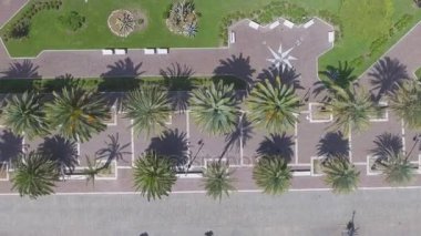 Şehir hava havai görünümü mesire yeşil palmiye ağaçları ile video