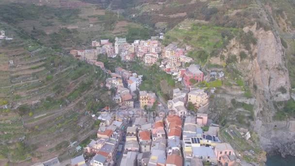 Manarola Wspaniałe Panoramiczne Ptaka Pięć Krain Włochy Wideo — Wideo stockowe