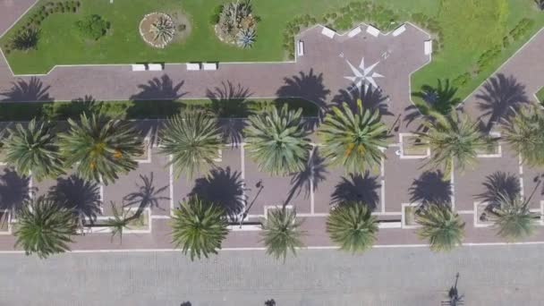 Vista Aérea Del Paseo Marítimo Ciudad Con Palmeras Verdes Video — Vídeo de stock