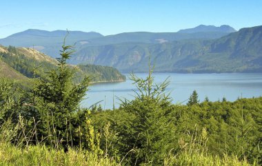 St. Helens Dağı, Washington Yanardağı