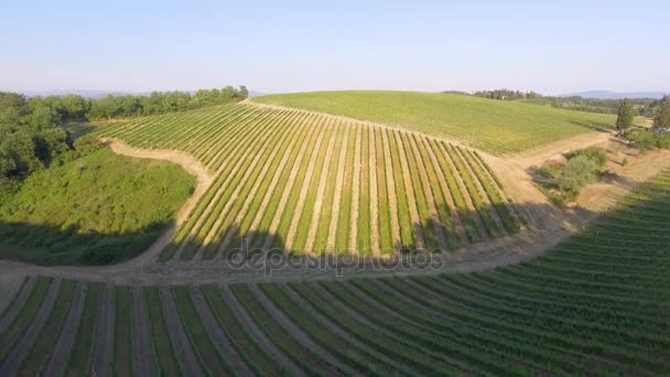 Overhead Panorama Flygfoto Över Ängar Toscana Italien Video — Stockvideo
