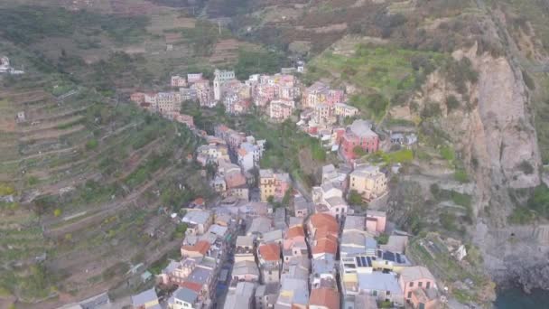 Manarola Nádherné Panoramatické Letecký Pohled Pět Zemí Itálie Video — Stock video