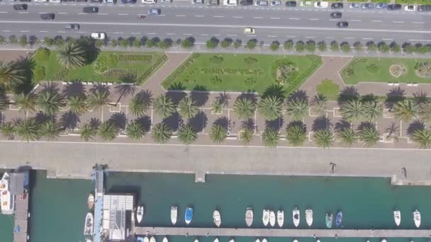 Vista Aérea Del Paseo Marítimo Ciudad Con Palmeras Verdes Video — Vídeo de stock