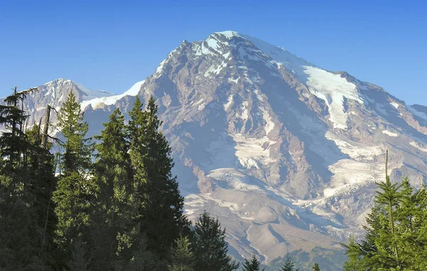 Vegetación Cerca Mount Rainier Washington — Foto de Stock