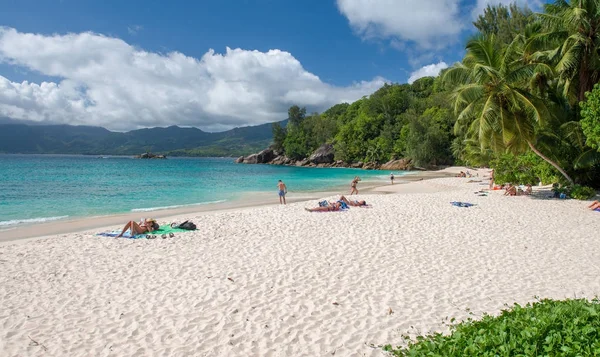 Pięknej Tropikalnej Plaży Piaskiem Ocean Palmy — Zdjęcie stockowe