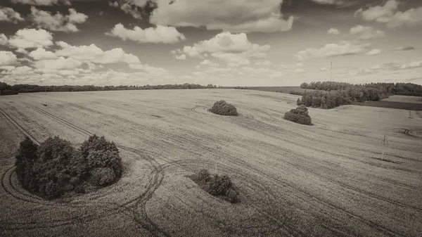 Belles Prairies Campagne Été Vue Aérienne Depuis Drone — Photo