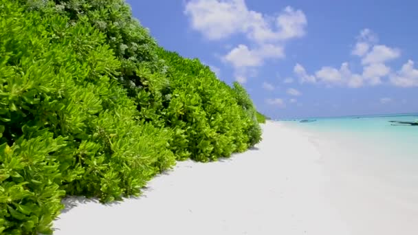 Fantastiska Tropiska Stranden Och Havet Kusten Video — Stockvideo