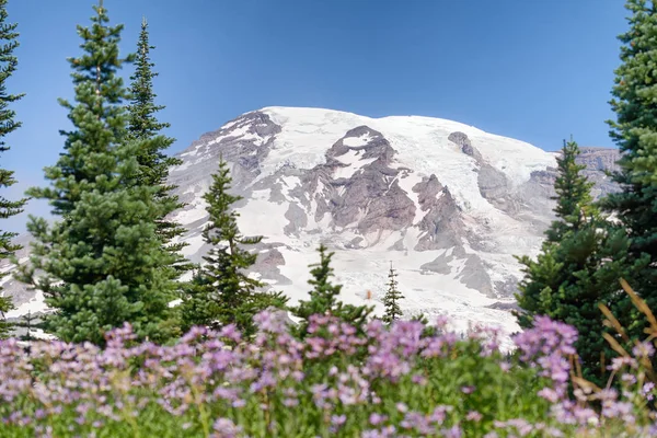 Majestade Monte Rainier Hora Verão — Fotografia de Stock