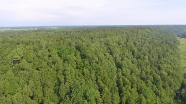 驚くほどのアンダルシア ラトビア ビデオで最大の国立公園のガウヤ国立公園の空撮 — ストック動画