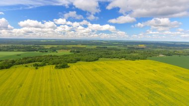 Sarı çayır ağaçlar ve mavi gökyüzü yaz sezonu, havadan görünümü.