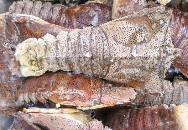 Gefrorener Fisch, Gottesanbeterin-Garnelen — Stockfoto