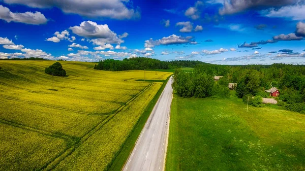 Beautiful Road Acroos Yellow Meadows Spring — Stock Photo, Image