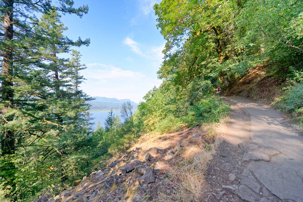 Trail along the mountain.