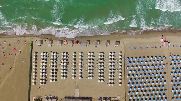 Hermosa Vista Aérea Sillas Playa Sombrillas Largo Del Océano Video — Vídeo de stock