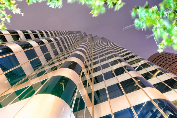 Skyline Moderno Con Hojas Árbol Movimiento Por Noche — Foto de Stock
