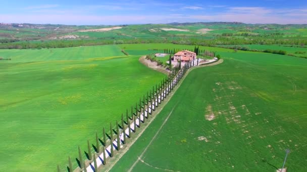 Luchtfoto van mooie cypress weg in Toscane op voorjaar — Stockvideo