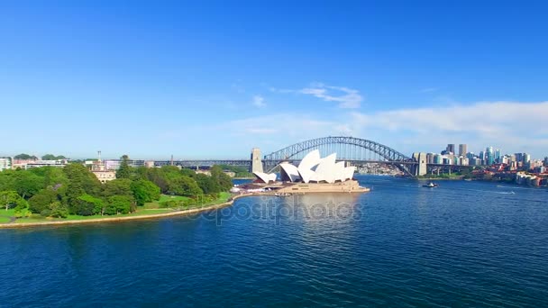 Vista Aérea Edifícios Baía Sydney Parque Dia Ensolarado Austrália Vídeo — Vídeo de Stock