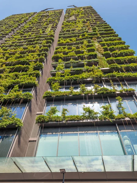 Vista Para Cima Edifício Com Plantas Fachada — Fotografia de Stock