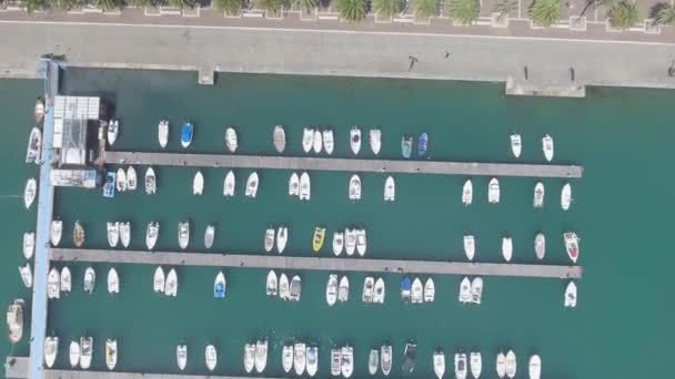 Vista Aérea Del Paseo Marítimo Ciudad Con Palmeras Verdes Video — Vídeo de stock