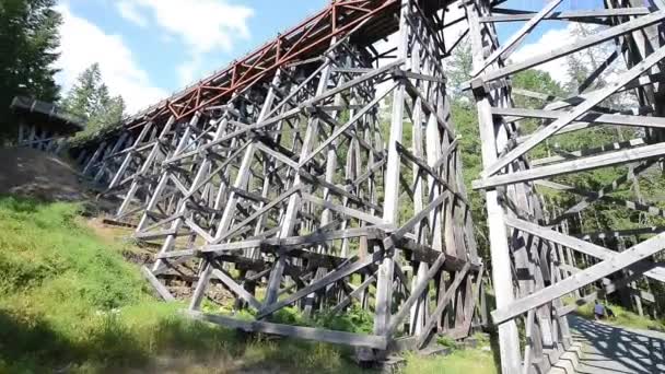 Kinsol Schraag Bridge Vancouver Island Canada — Stockvideo