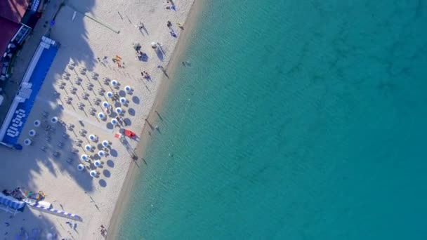 Красивий Вид Повітря Пляжні Стільці Парасольки Вздовж Океану Відео — стокове відео