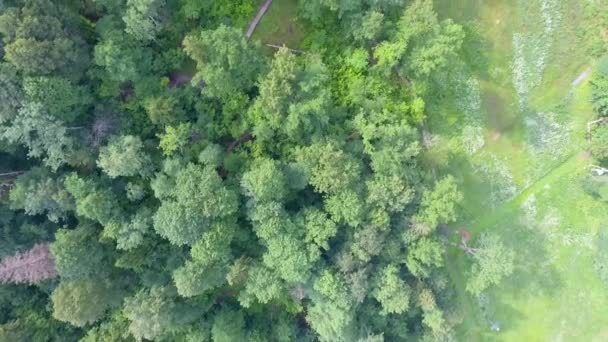 Increíble Vista Aérea Del Parque Nacional Gauja Vidzeme Parque Nacional — Vídeo de stock