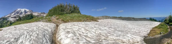 Mount Rainier Національний Парк Штат Вашингтон Панорама Літнього Сезону — стокове фото