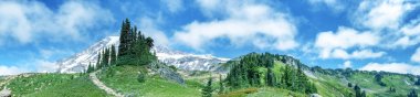 Rainier Dağı Milli Parkı iz yaz sezonu.