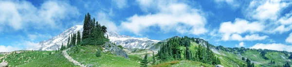 Szlak Parku Narodowego Mount Rainier Sezonie Letnim — Zdjęcie stockowe