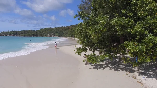 Pięknej Plaży Tropikalnej Przyrody — Zdjęcie stockowe