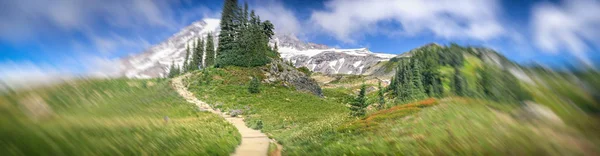 Mount Rainier National Park Trail Sommarsäsongen — Stockfoto