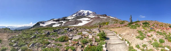 Vista Panorâmica Incrível Paisagem Monte Rainier Temporada Verão — Fotografia de Stock