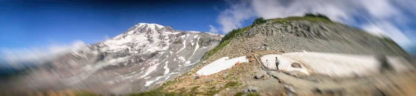 Mount Rainier Nationalpark Trail Der Sommersaison — Stockfoto