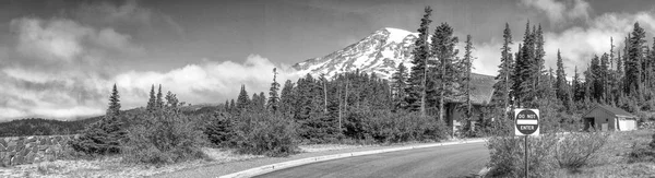 Strada Del Parco Nazionale Del Monte Rainier Vista Panoramica — Foto Stock