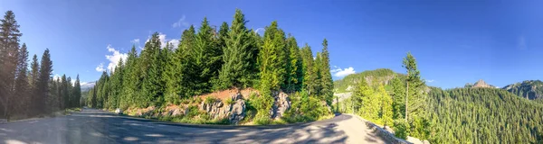 Mount Rainier National Park Road Vista Panorâmica — Fotografia de Stock