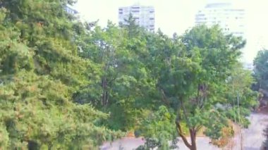 Cityscape Vancouver, British Columbia, Kanada, video