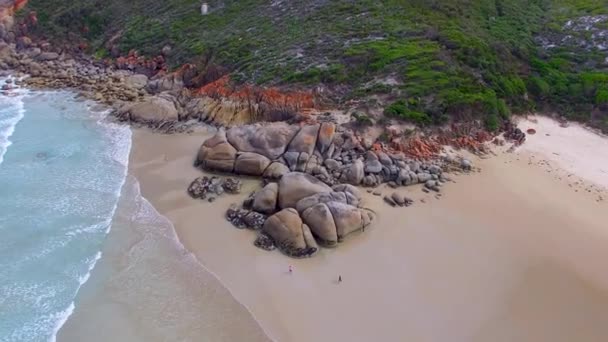 澳大利亚维多利亚威尔逊海角国家公园海岸的惊人性质 — 图库视频影像